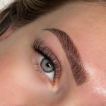 Brows & Lashes